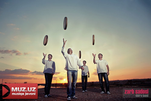 Zarb sadosi
